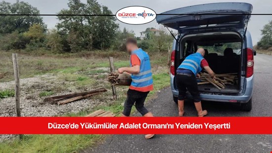 Düzce'de Yükümlüler Adalet Ormanı'nı Yeniden Yeşertti