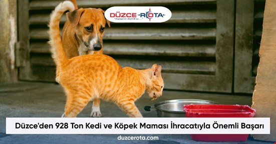 Düzce'den 928 Ton Kedi ve Köpek Maması İhracatıyla Önemli Başarı