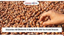 Düzce’den AB Ülkelerine 11 Ayda 16 Bin 350 Ton Fındık İhracatı