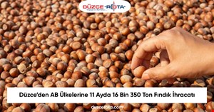 Düzce’den AB Ülkelerine 11 Ayda 16 Bin 350 Ton Fındık İhracatı