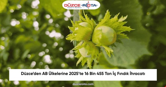 Düzce’den AB Ülkelerine 2025’te 16 Bin 455 Ton İç Fındık İhracatı