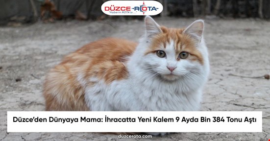 Düzce’den Dünyaya Mama: İhracatta Yeni Kalem 9 Ayda Bin 384 Tonu Aştı