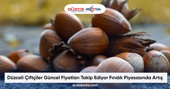 Düzceli Çiftçiler Güncel Fiyatları Takip Ediyor Fındık Piyasasında Artış