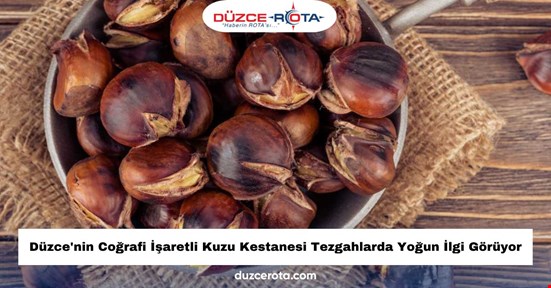 Düzce'nin Coğrafi İşaretli Kuzu Kestanesi Tezgahlarda Yoğun İlgi Görüyor