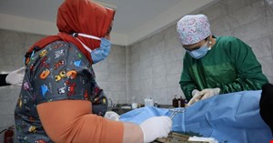 Hasta köpeğe şefkat eli