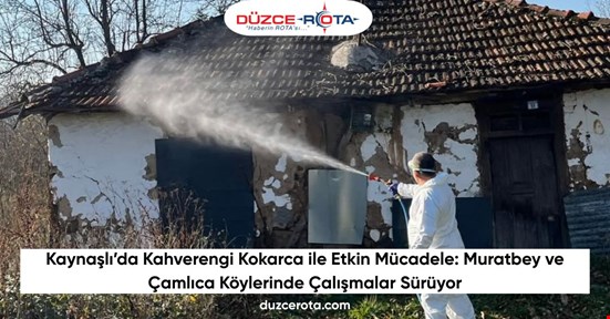 Kaynaşlı’da Kahverengi Kokarca ile Etkin Mücadele: Muratbey ve Çamlıca Köylerinde Çalışmalar Sürüyor