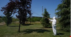 PARK, BAHÇE VE KAMUYA AÇIK ALANLAR MARKAJDA
