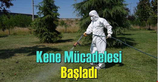 PARK, BAHÇE VE KAMUYA AÇIK ALANLAR MARKAJDA
