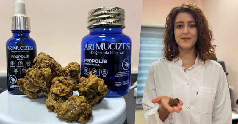 Propolis, Arı Mucizesi Akademisi tarafından tek tek analiz ediliyor!