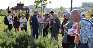 Yaşadığımız Çevredeki Biyolojik Çeşitliliği Keşfet: Peyzaj Bitkilerinin Keşfi