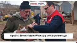 Yığılca İlçe Tarım Sahada: Hayvan Sağlığı İçin Çalışmalar Sürüyor