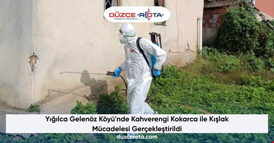 Yığılca Gelenöz Köyü'nde Kahverengi Kokarca ile Kışlak Mücadelesi Gerçekleştirildi