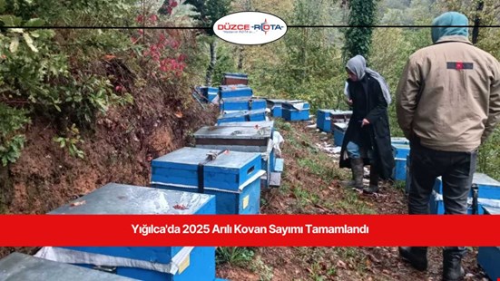 Yığılca'da 2025 Arılı Kovan Sayımı Tamamlandı