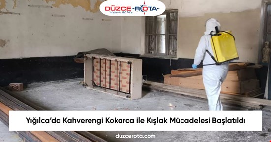 Yığılca’da Kahverengi Kokarca ile Kışlak Mücadelesi Başlatıldı