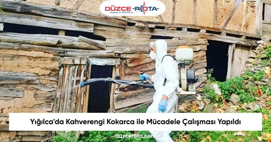 Yığılca'da Kahverengi Kokarca ile Mücadele Çalışması Yapıldı