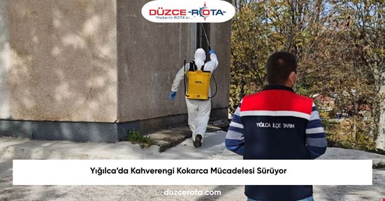 Yığılca’da Kahverengi Kokarca Mücadelesi Sürüyor