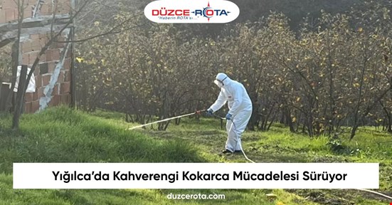 Yığılca’da Kahverengi Kokarca Mücadelesi Sürüyor