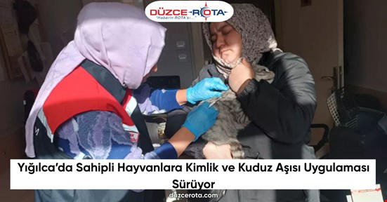 Yığılca’da Sahipli Hayvanlara Kimlik ve Kuduz Aşısı Uygulaması Sürüyor