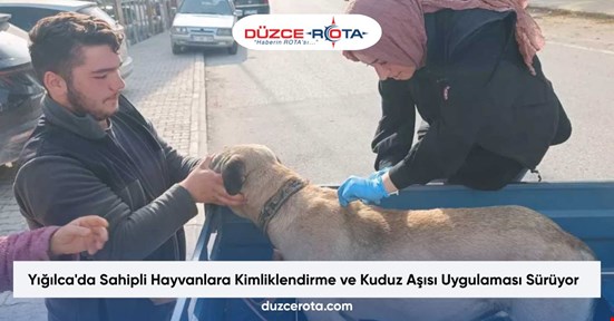 Yığılca'da Sahipli Hayvanlara Kimliklendirme ve Kuduz Aşısı Uygulaması Sürüyor