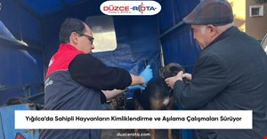 Yığılca’da Sahipli Hayvanların Kimliklendirme ve Aşılama Çalışmaları Sürüyor