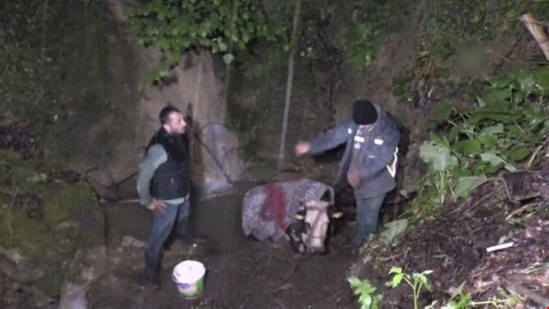 40 metrelik uçuruma düşen inek 3 saatte çıkarıldı
