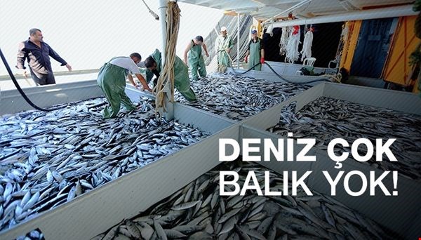 Cengiz Erdinç: Deniz çok balık yok!