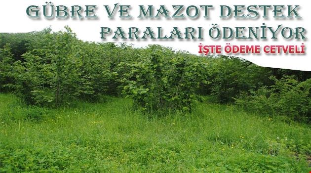 Mazot ve gübre paraları hesaba yatırıldı