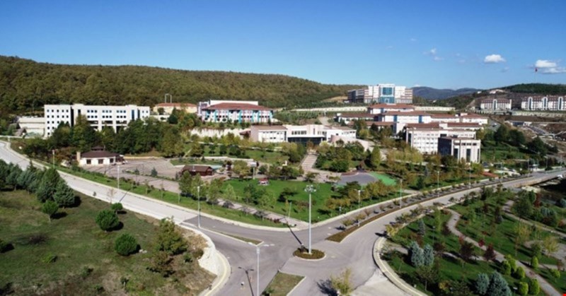 Düzce Üniversitesi dünyada ilk 100'de!
