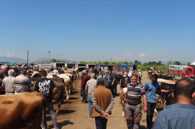 Fiyatlar hayvan başına bin lira arttı