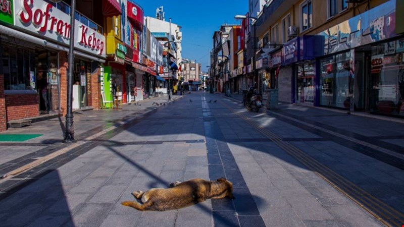 Lokanta, restoran ve kafeler açıldı; İşte detaylar