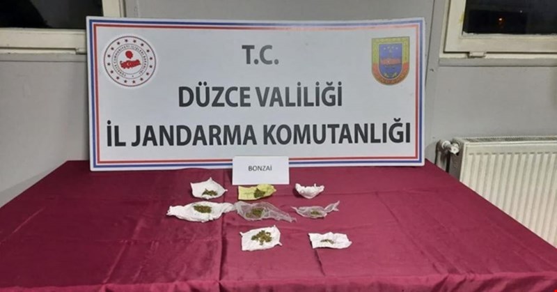 Motosiklet taşıyan çekiciden bonzai çıktı!