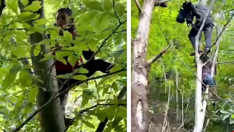 Rize / İkizdere: Köylüler kendilerini ağaçlara zincirledi, gözaltılar var