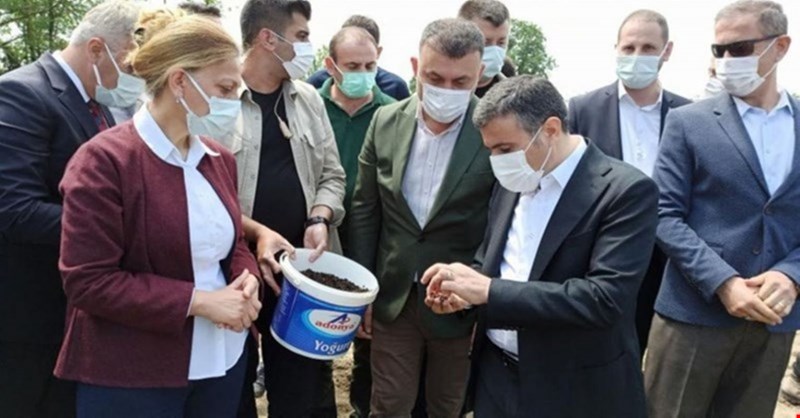 Siyah çeltik suyla buluştu