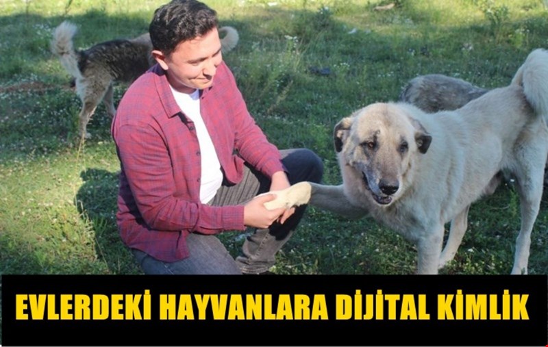 SOKAK HAYVANLARI DÜZENLEMESİNDE SONA DOĞRU