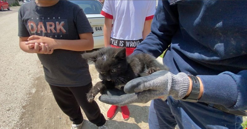 Yaramaz yavru kedi, itfaiye ekiplerini uğraştırdı