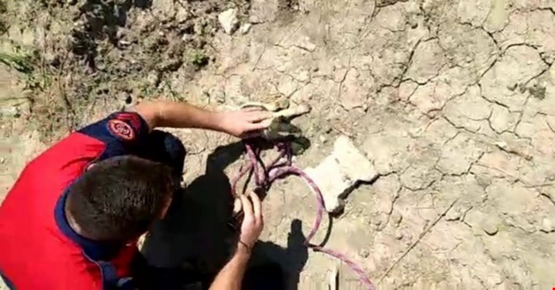 Yavru köpeği kurtardılar!