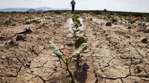 2023 Yılında Tüm Dünya Gıda Krizi Bekliyor 