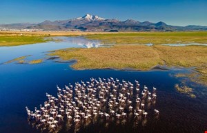 İklim Adaleti Koalisyonu’ndan Dünya Sulak Alanlar Günü çağrısı: Su yoksa yaşam da yok