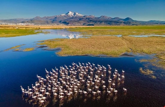 İklim Adaleti Koalisyonu’ndan Dünya Sulak Alanlar Günü çağrısı: Su yoksa yaşam da yok