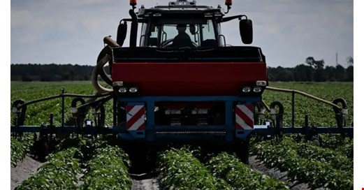 İran savaşı gıda güvenliğini nasıl etkileyebilir?