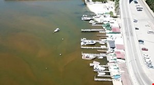 İzmit Körfezi'nde deniz kahverengiye döndü