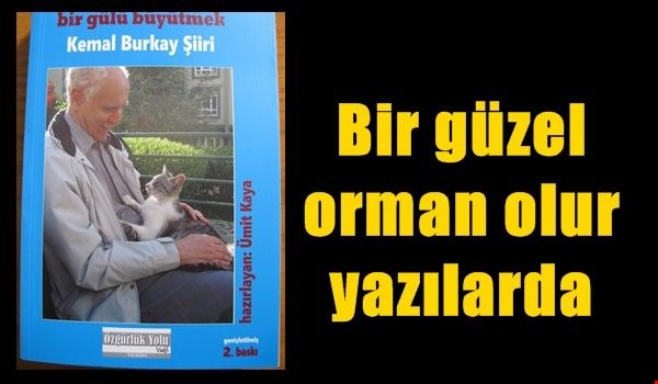 “EDEBİYAT DİKENLİ GÜLDÜR, POLİTİKA İSE GÜLLÜ DİKEN…