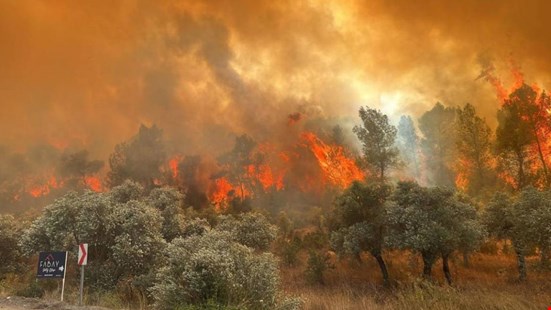 Antalya Kemer’de orman yangını: Müdahale devam ediyor
