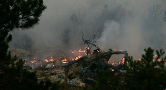 Bolu’daki yangın olayında soruşturma derinleşti: İki kişi tutuklandı