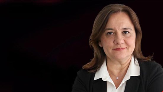 Çiğdem Toker: Gazeteci Alican Uludağ'ın tutuklanmasına giden işlemler hatalarla dolu