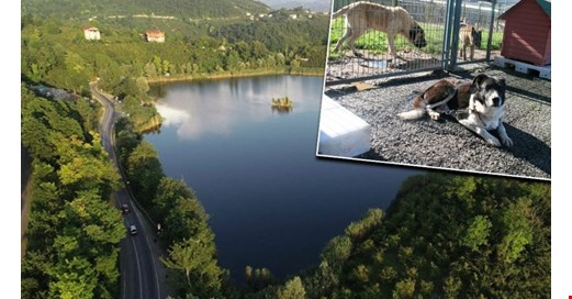 Doğal sit alanlarına hayvan bakımevleri kurulabilecek