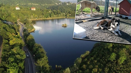 Doğal sit alanlarına hayvan bakımevleri kurulabilecek