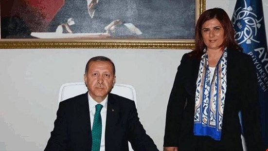 Ertuğrul Özkök: Sayın Cumhurbaşkanı, bu rozeti siz takmayın, bir AKP yöneticisi taksın