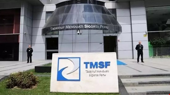 Financial Times: Bin şirket TMSF'ye devredildi.. 'Yolsuzlukla mücadele mi, sermayeye el koyma operasyonu mu?'