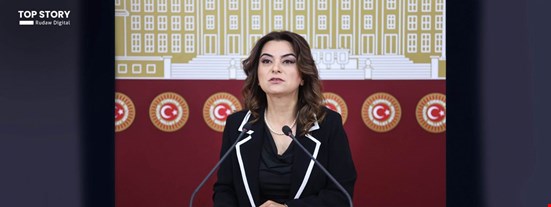 Gülistan Koçyiğit: Türkiye, Rojava'ya güvenlik tehdidi olarak değil, komşuluk hukukuyla bakmalı